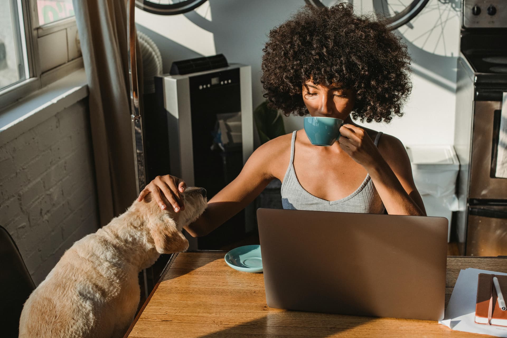 Person with dog at laptop