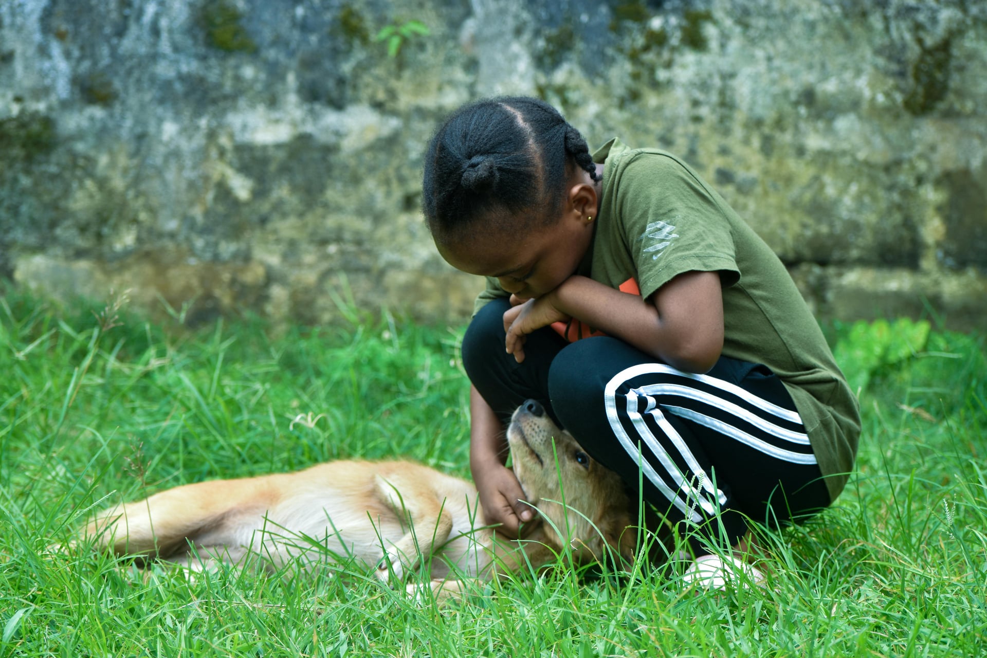 Annual Deductible for Pet Insurance: How It Works in 2025