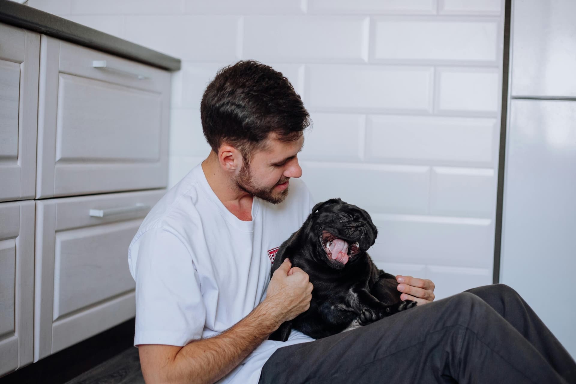 How Does Dog Insurance Work? Coverage, Claims, and Costs