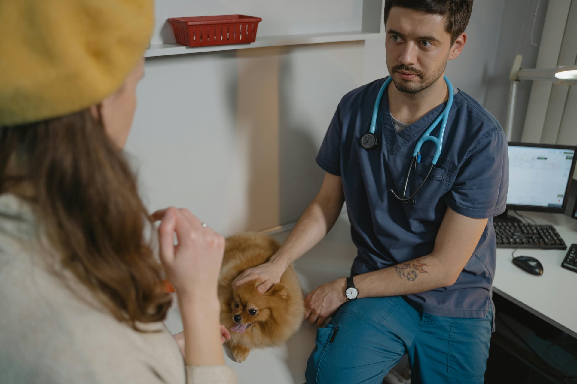 How Pet Insurance Can Save You Thousands in Vet Bills