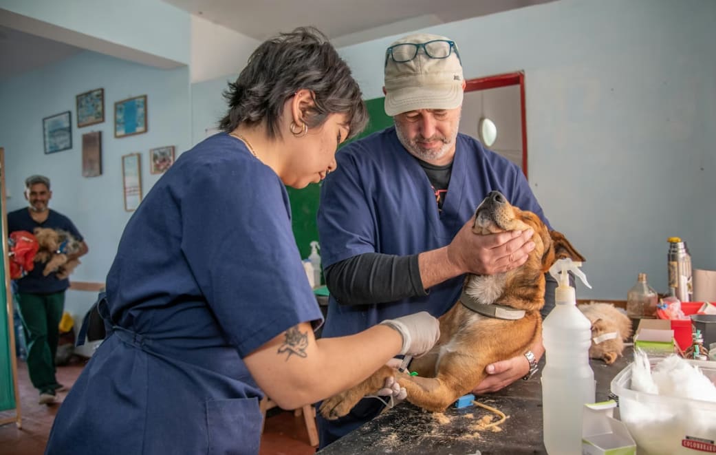 Veterinary Business Challenges and Opportunities in 2025