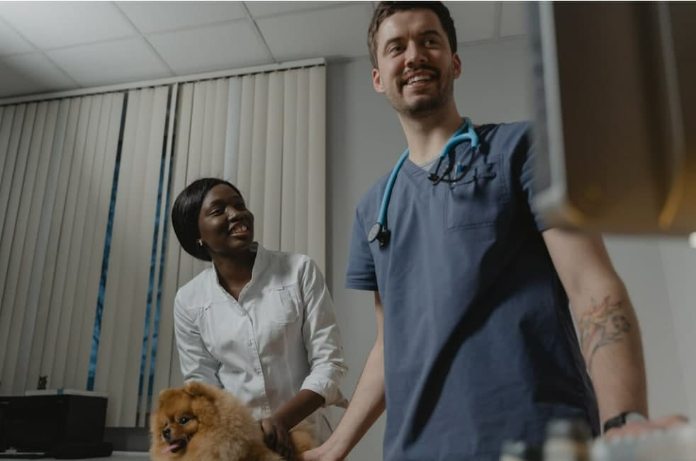 Why Happy Veterinary Staff Drive Higher Client Retention