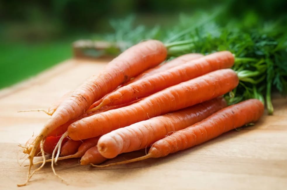 Can Dogs Have Carrots? Safe Portions and Feeding Guidelines