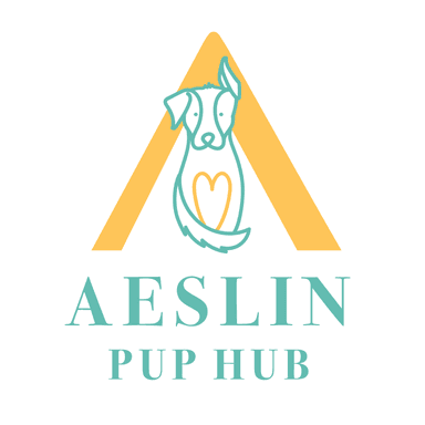 Aeslin - Noble Square Logo