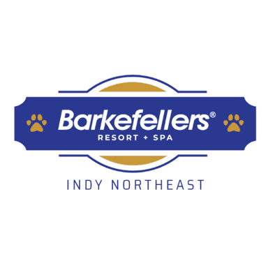 Barkefellers Indy Northeast Logo