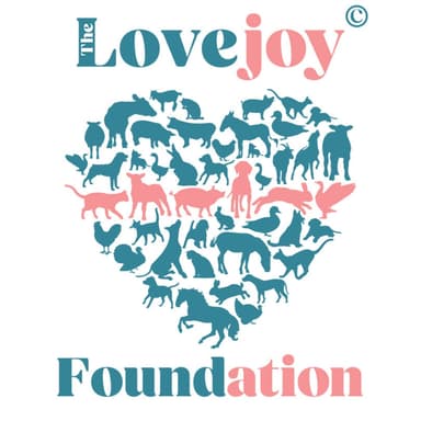 Lovejoy Foundation Logo