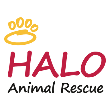 HALO Animal Rescue Logo