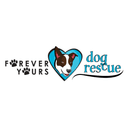 Forever Yours Dog Rescue, Inc Logo
