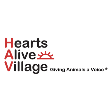 Hearts Alive Village Logo