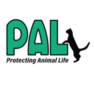 Rescued Treasures Cat Cafe by PALNV Logo