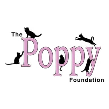 The Poppy Foundation Logo