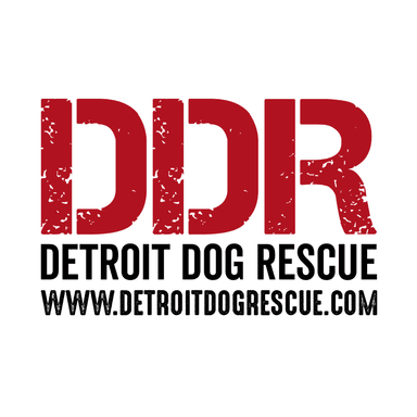 Detroit Dog Rescue Logo