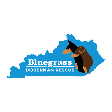 Bluegrass Doberman Rescue Logo